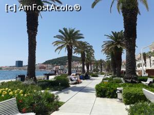 [P01] Riva, promenada din Split. A fost printre primele imagini pe care le-am avut după ce am parcat foarte aproape, în parcarea Palatului lui Dioclețian.  » foto by Aurici
 - 
<span class="allrVoted glyphicon glyphicon-heart hidden" id="av1025200"></span>
<a class="m-l-10 hidden" id="sv1025200" onclick="voting_Foto_DelVot(,1025200,14336)" role="button">șterge vot <span class="glyphicon glyphicon-remove"></span></a>
<a id="v91025200" class=" c-red"  onclick="voting_Foto_SetVot(1025200)" role="button"><span class="glyphicon glyphicon-heart-empty"></span> <b>LIKE</b> = Votează poza</a> <img class="hidden"  id="f1025200W9" src="/imagini/loader.gif" border="0" /><span class="AjErrMes hidden" id="e1025200ErM"></span>