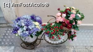 [P45] Decorațiuni frumoase prin orașul vechi.  » foto by Aurici
 - 
<span class="allrVoted glyphicon glyphicon-heart hidden" id="av1025244"></span>
<a class="m-l-10 hidden" id="sv1025244" onclick="voting_Foto_DelVot(,1025244,14336)" role="button">șterge vot <span class="glyphicon glyphicon-remove"></span></a>
<a id="v91025244" class=" c-red"  onclick="voting_Foto_SetVot(1025244)" role="button"><span class="glyphicon glyphicon-heart-empty"></span> <b>LIKE</b> = Votează poza</a> <img class="hidden"  id="f1025244W9" src="/imagini/loader.gif" border="0" /><span class="AjErrMes hidden" id="e1025244ErM"></span>