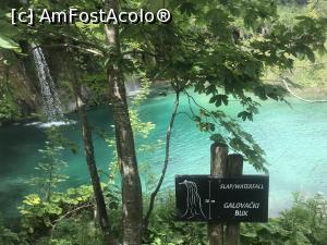 [P18] cascada Golovachi » foto by aurora56
 - 
<span class="allrVoted glyphicon glyphicon-heart hidden" id="av1320526"></span>
<a class="m-l-10 hidden" id="sv1320526" onclick="voting_Foto_DelVot(,1320526,14336)" role="button">șterge vot <span class="glyphicon glyphicon-remove"></span></a>
<a id="v91320526" class=" c-red"  onclick="voting_Foto_SetVot(1320526)" role="button"><span class="glyphicon glyphicon-heart-empty"></span> <b>LIKE</b> = Votează poza</a> <img class="hidden"  id="f1320526W9" src="/imagini/loader.gif" border="0" /><span class="AjErrMes hidden" id="e1320526ErM"></span>