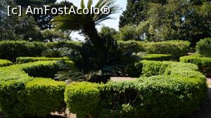 [P14] Verde de Lokrum » foto by GIN2015*
 - 
<span class="allrVoted glyphicon glyphicon-heart hidden" id="av870473"></span>
<a class="m-l-10 hidden" id="sv870473" onclick="voting_Foto_DelVot(,870473,14336)" role="button">șterge vot <span class="glyphicon glyphicon-remove"></span></a>
<a id="v9870473" class=" c-red"  onclick="voting_Foto_SetVot(870473)" role="button"><span class="glyphicon glyphicon-heart-empty"></span> <b>LIKE</b> = Votează poza</a> <img class="hidden"  id="f870473W9" src="/imagini/loader.gif" border="0" /><span class="AjErrMes hidden" id="e870473ErM"></span>