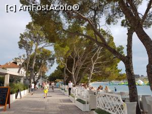 [P60] Faleza Makarska » foto by Bughy82
 - 
<span class="allrVoted glyphicon glyphicon-heart hidden" id="av867004"></span>
<a class="m-l-10 hidden" id="sv867004" onclick="voting_Foto_DelVot(,867004,14336)" role="button">șterge vot <span class="glyphicon glyphicon-remove"></span></a>
<a id="v9867004" class=" c-red"  onclick="voting_Foto_SetVot(867004)" role="button"><span class="glyphicon glyphicon-heart-empty"></span> <b>LIKE</b> = Votează poza</a> <img class="hidden"  id="f867004W9" src="/imagini/loader.gif" border="0" /><span class="AjErrMes hidden" id="e867004ErM"></span>
