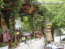 [P31] Taverna Poseidon , am ales o masa din strada pentru ca mai batea putin soarele » foto by ionescunic
 - 
<span class="allrVoted glyphicon glyphicon-heart hidden" id="av83462"></span>
<a class="m-l-10 hidden" id="sv83462" onclick="voting_Foto_DelVot(,83462,14442)" role="button">șterge vot <span class="glyphicon glyphicon-remove"></span></a>
<a id="v983462" class=" c-red"  onclick="voting_Foto_SetVot(83462)" role="button"><span class="glyphicon glyphicon-heart-empty"></span> <b>LIKE</b> = Votează poza</a> <img class="hidden"  id="f83462W9" src="/imagini/loader.gif" border="0" /><span class="AjErrMes hidden" id="e83462ErM"></span>