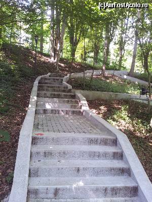 [P03] Parcul este strabatut de alei in panta lina numai bune pt plimbari usoare, mai lungi sau mai scurte, chiar pana la Izvorul Ferdinand » foto by FrancescaClara
 - 
<span class="allrVoted glyphicon glyphicon-heart hidden" id="av551010"></span>
<a class="m-l-10 hidden" id="sv551010" onclick="voting_Foto_DelVot(,551010,14481)" role="button">șterge vot <span class="glyphicon glyphicon-remove"></span></a>
<a id="v9551010" class=" c-red"  onclick="voting_Foto_SetVot(551010)" role="button"><span class="glyphicon glyphicon-heart-empty"></span> <b>LIKE</b> = Votează poza</a> <img class="hidden"  id="f551010W9" src="/imagini/loader.gif" border="0" /><span class="AjErrMes hidden" id="e551010ErM"></span>