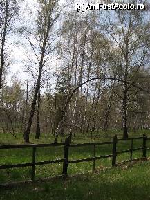 [P01] Mestecanisul de la Reci » foto by ancamariagadea*
 - 
<span class="allrVoted glyphicon glyphicon-heart hidden" id="av69901"></span>
<a class="m-l-10 hidden" id="sv69901" onclick="voting_Foto_DelVot(,69901,14513)" role="button">șterge vot <span class="glyphicon glyphicon-remove"></span></a>
<a id="v969901" class=" c-red"  onclick="voting_Foto_SetVot(69901)" role="button"><span class="glyphicon glyphicon-heart-empty"></span> <b>LIKE</b> = Votează poza</a> <img class="hidden"  id="f69901W9" src="/imagini/loader.gif" border="0" /><span class="AjErrMes hidden" id="e69901ErM"></span>