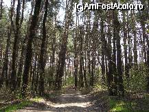 [P17] Aninisurile din rezervatia de la Reci » foto by ancamariagadea*
 - 
<span class="allrVoted glyphicon glyphicon-heart hidden" id="av69917"></span>
<a class="m-l-10 hidden" id="sv69917" onclick="voting_Foto_DelVot(,69917,14513)" role="button">șterge vot <span class="glyphicon glyphicon-remove"></span></a>
<a id="v969917" class=" c-red"  onclick="voting_Foto_SetVot(69917)" role="button"><span class="glyphicon glyphicon-heart-empty"></span> <b>LIKE</b> = Votează poza</a> <img class="hidden"  id="f69917W9" src="/imagini/loader.gif" border="0" /><span class="AjErrMes hidden" id="e69917ErM"></span>