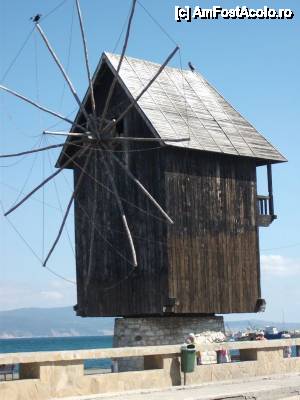 [P06]  -- <small>// FĂRĂ DESCRIERE</small> » foto by beamonikat
 - 
<span class="allrVoted glyphicon glyphicon-heart hidden" id="av476493"></span>
<a class="m-l-10 hidden" id="sv476493" onclick="voting_Foto_DelVot(,476493,14515)" role="button">șterge vot <span class="glyphicon glyphicon-remove"></span></a>
<a id="v9476493" class=" c-red"  onclick="voting_Foto_SetVot(476493)" role="button"><span class="glyphicon glyphicon-heart-empty"></span> <b>LIKE</b> = Votează poza</a> <img class="hidden"  id="f476493W9" src="/imagini/loader.gif" border="0" /><span class="AjErrMes hidden" id="e476493ErM"></span>