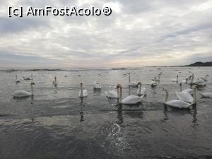 [P16] Eforie Sud » foto by Nicu
 - 
<span class="allrVoted glyphicon glyphicon-heart hidden" id="av1212458"></span>
<a class="m-l-10 hidden" id="sv1212458" onclick="voting_Foto_DelVot(,1212458,14525)" role="button">șterge vot <span class="glyphicon glyphicon-remove"></span></a>
<a id="v91212458" class=" c-red"  onclick="voting_Foto_SetVot(1212458)" role="button"><span class="glyphicon glyphicon-heart-empty"></span> <b>LIKE</b> = Votează poza</a> <img class="hidden"  id="f1212458W9" src="/imagini/loader.gif" border="0" /><span class="AjErrMes hidden" id="e1212458ErM"></span>