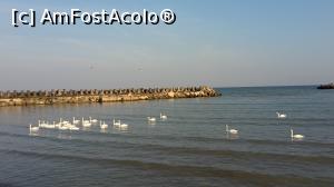 [P01] Mangalia » foto by Nicu
 - 
<span class="allrVoted glyphicon glyphicon-heart hidden" id="av798718"></span>
<a class="m-l-10 hidden" id="sv798718" onclick="voting_Foto_DelVot(,798718,14525)" role="button">șterge vot <span class="glyphicon glyphicon-remove"></span></a>
<a id="v9798718" class=" c-red"  onclick="voting_Foto_SetVot(798718)" role="button"><span class="glyphicon glyphicon-heart-empty"></span> <b>LIKE</b> = Votează poza</a> <img class="hidden"  id="f798718W9" src="/imagini/loader.gif" border="0" /><span class="AjErrMes hidden" id="e798718ErM"></span>