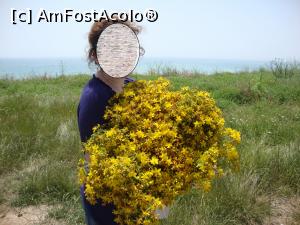 [P62] Doar v-am spus că am cules un buchet mare de sunătoare! Ne-a plăcut la mare și vom mai ajunge în această vară! Sănătoși să fim, asta vă dorim tuturor!  » foto by Floryn81
 - 
<span class="allrVoted glyphicon glyphicon-heart hidden" id="av752534"></span>
<a class="m-l-10 hidden" id="sv752534" onclick="voting_Foto_DelVot(,752534,14525)" role="button">șterge vot <span class="glyphicon glyphicon-remove"></span></a>
<a id="v9752534" class=" c-red"  onclick="voting_Foto_SetVot(752534)" role="button"><span class="glyphicon glyphicon-heart-empty"></span> <b>LIKE</b> = Votează poza</a> <img class="hidden"  id="f752534W9" src="/imagini/loader.gif" border="0" /><span class="AjErrMes hidden" id="e752534ErM"></span>