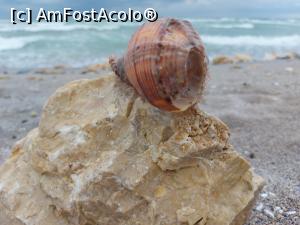 [P33] Camino litoral » foto by Chloe
 - 
<span class="allrVoted glyphicon glyphicon-heart hidden" id="av1357508"></span>
<a class="m-l-10 hidden" id="sv1357508" onclick="voting_Foto_DelVot(,1357508,14525)" role="button">șterge vot <span class="glyphicon glyphicon-remove"></span></a>
<a id="v91357508" class=" c-red"  onclick="voting_Foto_SetVot(1357508)" role="button"><span class="glyphicon glyphicon-heart-empty"></span> <b>LIKE</b> = Votează poza</a> <img class="hidden"  id="f1357508W9" src="/imagini/loader.gif" border="0" /><span class="AjErrMes hidden" id="e1357508ErM"></span>