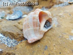 [P36] Camino litoral » foto by Chloe
 - 
<span class="allrVoted glyphicon glyphicon-heart hidden" id="av1357511"></span>
<a class="m-l-10 hidden" id="sv1357511" onclick="voting_Foto_DelVot(,1357511,14525)" role="button">șterge vot <span class="glyphicon glyphicon-remove"></span></a>
<a id="v91357511" class=" c-red"  onclick="voting_Foto_SetVot(1357511)" role="button"><span class="glyphicon glyphicon-heart-empty"></span> <b>LIKE</b> = Votează poza</a> <img class="hidden"  id="f1357511W9" src="/imagini/loader.gif" border="0" /><span class="AjErrMes hidden" id="e1357511ErM"></span>