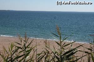 [P01] Plaja noua din Eforie Nord plină de scoici şi pescăruşi » foto by Bia710
 - 
<span class="allrVoted glyphicon glyphicon-heart hidden" id="av666787"></span>
<a class="m-l-10 hidden" id="sv666787" onclick="voting_Foto_DelVot(,666787,14525)" role="button">șterge vot <span class="glyphicon glyphicon-remove"></span></a>
<a id="v9666787" class=" c-red"  onclick="voting_Foto_SetVot(666787)" role="button"><span class="glyphicon glyphicon-heart-empty"></span> <b>LIKE</b> = Votează poza</a> <img class="hidden"  id="f666787W9" src="/imagini/loader.gif" border="0" /><span class="AjErrMes hidden" id="e666787ErM"></span>