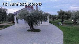 [P01] Tere di Olive - o locație în mijlocul unei plantații de măslini, apropae de plajă, curată și foarte liniștită!  » foto by Nasshu
 - 
<span class="allrVoted glyphicon glyphicon-heart hidden" id="av987059"></span>
<a class="m-l-10 hidden" id="sv987059" onclick="voting_Foto_DelVot(,987059,14544)" role="button">șterge vot <span class="glyphicon glyphicon-remove"></span></a>
<a id="v9987059" class=" c-red"  onclick="voting_Foto_SetVot(987059)" role="button"><span class="glyphicon glyphicon-heart-empty"></span> <b>LIKE</b> = Votează poza</a> <img class="hidden"  id="f987059W9" src="/imagini/loader.gif" border="0" /><span class="AjErrMes hidden" id="e987059ErM"></span>