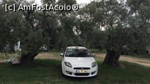 [P03] Tere di Olive - o locație în mijlocul unei plantații de măslini, apropae de plajă, curată și foarte liniștită! Parcare la alegere sub măslinul care vă place mai mult :) Unii au peste 40 ani!  » foto by Nasshu
 - 
<span class="allrVoted glyphicon glyphicon-heart hidden" id="av987061"></span>
<a class="m-l-10 hidden" id="sv987061" onclick="voting_Foto_DelVot(,987061,14544)" role="button">șterge vot <span class="glyphicon glyphicon-remove"></span></a>
<a id="v9987061" class=" c-red"  onclick="voting_Foto_SetVot(987061)" role="button"><span class="glyphicon glyphicon-heart-empty"></span> <b>LIKE</b> = Votează poza</a> <img class="hidden"  id="f987061W9" src="/imagini/loader.gif" border="0" /><span class="AjErrMes hidden" id="e987061ErM"></span>