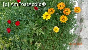 [P06] Flori din incinta manastirii, in timp ce la Bucuresti era zapada mare...  » foto by profesor73
 - 
<span class="allrVoted glyphicon glyphicon-heart hidden" id="av955022"></span>
<a class="m-l-10 hidden" id="sv955022" onclick="voting_Foto_DelVot(,955022,14569)" role="button">șterge vot <span class="glyphicon glyphicon-remove"></span></a>
<a id="v9955022" class=" c-red"  onclick="voting_Foto_SetVot(955022)" role="button"><span class="glyphicon glyphicon-heart-empty"></span> <b>LIKE</b> = Votează poza</a> <img class="hidden"  id="f955022W9" src="/imagini/loader.gif" border="0" /><span class="AjErrMes hidden" id="e955022ErM"></span>