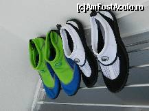 [P17] Papuceii salvatori :)  » foto by R-I-R
 - 
<span class="allrVoted glyphicon glyphicon-heart hidden" id="av467866"></span>
<a class="m-l-10 hidden" id="sv467866" onclick="voting_Foto_DelVot(,467866,14614)" role="button">șterge vot <span class="glyphicon glyphicon-remove"></span></a>
<a id="v9467866" class=" c-red"  onclick="voting_Foto_SetVot(467866)" role="button"><span class="glyphicon glyphicon-heart-empty"></span> <b>LIKE</b> = Votează poza</a> <img class="hidden"  id="f467866W9" src="/imagini/loader.gif" border="0" /><span class="AjErrMes hidden" id="e467866ErM"></span>