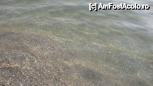 [P05] Avem si noi apa limpede - Eforie Nord 2013 » foto by mihai79
 - 
<span class="allrVoted glyphicon glyphicon-heart hidden" id="av440985"></span>
<a class="m-l-10 hidden" id="sv440985" onclick="voting_Foto_DelVot(,440985,14646)" role="button">șterge vot <span class="glyphicon glyphicon-remove"></span></a>
<a id="v9440985" class=" c-red"  onclick="voting_Foto_SetVot(440985)" role="button"><span class="glyphicon glyphicon-heart-empty"></span> <b>LIKE</b> = Votează poza</a> <img class="hidden"  id="f440985W9" src="/imagini/loader.gif" border="0" /><span class="AjErrMes hidden" id="e440985ErM"></span>