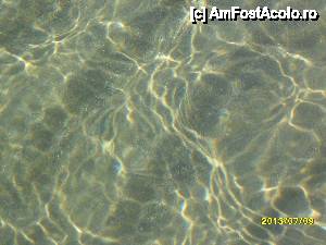 [P04]  -- <small>// FĂRĂ DESCRIERE</small> » foto by flori_floricika
 - 
<span class="allrVoted glyphicon glyphicon-heart hidden" id="av441307"></span>
<a class="m-l-10 hidden" id="sv441307" onclick="voting_Foto_DelVot(,441307,14658)" role="button">șterge vot <span class="glyphicon glyphicon-remove"></span></a>
<a id="v9441307" class=" c-red"  onclick="voting_Foto_SetVot(441307)" role="button"><span class="glyphicon glyphicon-heart-empty"></span> <b>LIKE</b> = Votează poza</a> <img class="hidden"  id="f441307W9" src="/imagini/loader.gif" border="0" /><span class="AjErrMes hidden" id="e441307ErM"></span>