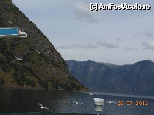 [P15] În drum spre Bergen - Cu 'Lady Elisabeth' în croazieră pe Sognefjord.  » foto by iulianic
 - 
<span class="allrVoted glyphicon glyphicon-heart hidden" id="av475130"></span>
<a class="m-l-10 hidden" id="sv475130" onclick="voting_Foto_DelVot(,475130,14660)" role="button">șterge vot <span class="glyphicon glyphicon-remove"></span></a>
<a id="v9475130" class=" c-red"  onclick="voting_Foto_SetVot(475130)" role="button"><span class="glyphicon glyphicon-heart-empty"></span> <b>LIKE</b> = Votează poza</a> <img class="hidden"  id="f475130W9" src="/imagini/loader.gif" border="0" /><span class="AjErrMes hidden" id="e475130ErM"></span>