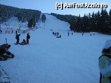 [P02] Partiile din Vartop- in stanga cea mica,in fata cea mare » foto by luciaoradea
 - 
<span class="allrVoted glyphicon glyphicon-heart hidden" id="av188408"></span>
<a class="m-l-10 hidden" id="sv188408" onclick="voting_Foto_DelVot(,188408,14663)" role="button">șterge vot <span class="glyphicon glyphicon-remove"></span></a>
<a id="v9188408" class=" c-red"  onclick="voting_Foto_SetVot(188408)" role="button"><span class="glyphicon glyphicon-heart-empty"></span> <b>LIKE</b> = Votează poza</a> <img class="hidden"  id="f188408W9" src="/imagini/loader.gif" border="0" /><span class="AjErrMes hidden" id="e188408ErM"></span>