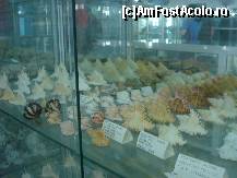 [P15] O multime de melci am vazut aici » foto by ionescunic
 - 
<span class="allrVoted glyphicon glyphicon-heart hidden" id="av43885"></span>
<a class="m-l-10 hidden" id="sv43885" onclick="voting_Foto_DelVot(,43885,14751)" role="button">șterge vot <span class="glyphicon glyphicon-remove"></span></a>
<a id="v943885" class=" c-red"  onclick="voting_Foto_SetVot(43885)" role="button"><span class="glyphicon glyphicon-heart-empty"></span> <b>LIKE</b> = Votează poza</a> <img class="hidden"  id="f43885W9" src="/imagini/loader.gif" border="0" /><span class="AjErrMes hidden" id="e43885ErM"></span>