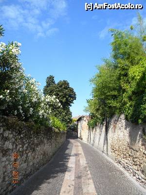 P09 [JUL-2013] Strada in interiorul Castelului, pe care circulau masinile localnicilor