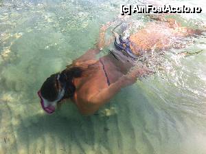 [P08] Apa limpede, curata si calda toata ziua!! Cea mai grozava piscina pentru fiica mea!!  » foto by alinabonis*
 - 
<span class="allrVoted glyphicon glyphicon-heart hidden" id="av445453"></span>
<a class="m-l-10 hidden" id="sv445453" onclick="voting_Foto_DelVot(,445453,14772)" role="button">șterge vot <span class="glyphicon glyphicon-remove"></span></a>
<a id="v9445453" class=" c-red"  onclick="voting_Foto_SetVot(445453)" role="button"><span class="glyphicon glyphicon-heart-empty"></span> <b>LIKE</b> = Votează poza</a> <img class="hidden"  id="f445453W9" src="/imagini/loader.gif" border="0" /><span class="AjErrMes hidden" id="e445453ErM"></span>