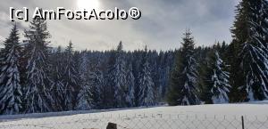 [P07]  -- <small>// FĂRĂ DESCRIERE</small> » foto by andreea_peteanu
 - 
<span class="allrVoted glyphicon glyphicon-heart hidden" id="av1049437"></span>
<a class="m-l-10 hidden" id="sv1049437" onclick="voting_Foto_DelVot(,1049437,14804)" role="button">șterge vot <span class="glyphicon glyphicon-remove"></span></a>
<a id="v91049437" class=" c-red"  onclick="voting_Foto_SetVot(1049437)" role="button"><span class="glyphicon glyphicon-heart-empty"></span> <b>LIKE</b> = Votează poza</a> <img class="hidden"  id="f1049437W9" src="/imagini/loader.gif" border="0" /><span class="AjErrMes hidden" id="e1049437ErM"></span>