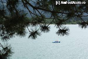 [P78] Wolfgangsee » foto by Alina53
 - 
<span class="allrVoted glyphicon glyphicon-heart hidden" id="av692238"></span>
<a class="m-l-10 hidden" id="sv692238" onclick="voting_Foto_DelVot(,692238,14815)" role="button">șterge vot <span class="glyphicon glyphicon-remove"></span></a>
<a id="v9692238" class=" c-red"  onclick="voting_Foto_SetVot(692238)" role="button"><span class="glyphicon glyphicon-heart-empty"></span> <b>LIKE</b> = Votează poza</a> <img class="hidden"  id="f692238W9" src="/imagini/loader.gif" border="0" /><span class="AjErrMes hidden" id="e692238ErM"></span>