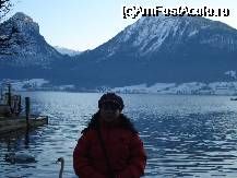 [P18] Intr-un inceput de 'crepuscul', eu, lacul, muntele, deci St.Wolfgang » foto by ileanaxperta*
 - 
<span class="allrVoted glyphicon glyphicon-heart hidden" id="av45089"></span>
<a class="m-l-10 hidden" id="sv45089" onclick="voting_Foto_DelVot(,45089,14815)" role="button">șterge vot <span class="glyphicon glyphicon-remove"></span></a>
<a id="v945089" class=" c-red"  onclick="voting_Foto_SetVot(45089)" role="button"><span class="glyphicon glyphicon-heart-empty"></span> <b>LIKE</b> = Votează poza</a> <img class="hidden"  id="f45089W9" src="/imagini/loader.gif" border="0" /><span class="AjErrMes hidden" id="e45089ErM"></span>