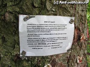 [P16] reclama la produse bio de la stana lui tanti Maria » foto by Testosu'
 - 
<span class="allrVoted glyphicon glyphicon-heart hidden" id="av519010"></span>
<a class="m-l-10 hidden" id="sv519010" onclick="voting_Foto_DelVot(,519010,14820)" role="button">șterge vot <span class="glyphicon glyphicon-remove"></span></a>
<a id="v9519010" class=" c-red"  onclick="voting_Foto_SetVot(519010)" role="button"><span class="glyphicon glyphicon-heart-empty"></span> <b>LIKE</b> = Votează poza</a> <img class="hidden"  id="f519010W9" src="/imagini/loader.gif" border="0" /><span class="AjErrMes hidden" id="e519010ErM"></span>