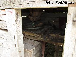 [P22]  -- <small>// FĂRĂ DESCRIERE</small> » foto by Testosu'
 - 
<span class="allrVoted glyphicon glyphicon-heart hidden" id="av519016"></span>
<a class="m-l-10 hidden" id="sv519016" onclick="voting_Foto_DelVot(,519016,14820)" role="button">șterge vot <span class="glyphicon glyphicon-remove"></span></a>
<a id="v9519016" class=" c-red"  onclick="voting_Foto_SetVot(519016)" role="button"><span class="glyphicon glyphicon-heart-empty"></span> <b>LIKE</b> = Votează poza</a> <img class="hidden"  id="f519016W9" src="/imagini/loader.gif" border="0" /><span class="AjErrMes hidden" id="e519016ErM"></span>