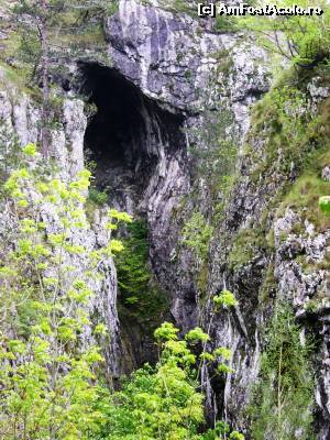 [P04] Gaura Fetii, in Cheile Tasnei!  » foto by Testosu'
 - 
<span class="allrVoted glyphicon glyphicon-heart hidden" id="av518754"></span>
<a class="m-l-10 hidden" id="sv518754" onclick="voting_Foto_DelVot(,518754,14820)" role="button">șterge vot <span class="glyphicon glyphicon-remove"></span></a>
<a id="v9518754" class=" c-red"  onclick="voting_Foto_SetVot(518754)" role="button"><span class="glyphicon glyphicon-heart-empty"></span> <b>LIKE</b> = Votează poza</a> <img class="hidden"  id="f518754W9" src="/imagini/loader.gif" border="0" /><span class="AjErrMes hidden" id="e518754ErM"></span>