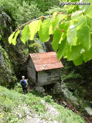 [P16] Moara Dracilor » foto by Testosu'
 - 
<span class="allrVoted glyphicon glyphicon-heart hidden" id="av617547"></span>
<a class="m-l-10 hidden" id="sv617547" onclick="voting_Foto_DelVot(,617547,14820)" role="button">șterge vot <span class="glyphicon glyphicon-remove"></span></a>
<a id="v9617547" class=" c-red"  onclick="voting_Foto_SetVot(617547)" role="button"><span class="glyphicon glyphicon-heart-empty"></span> <b>LIKE</b> = Votează poza</a> <img class="hidden"  id="f617547W9" src="/imagini/loader.gif" border="0" /><span class="AjErrMes hidden" id="e617547ErM"></span>