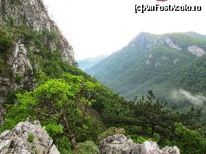 [P25]  -- <small>// FĂRĂ DESCRIERE</small> » foto by Testosu'
 - 
<span class="allrVoted glyphicon glyphicon-heart hidden" id="av617556"></span>
<a class="m-l-10 hidden" id="sv617556" onclick="voting_Foto_DelVot(,617556,14820)" role="button">șterge vot <span class="glyphicon glyphicon-remove"></span></a>
<a id="v9617556" class=" c-red"  onclick="voting_Foto_SetVot(617556)" role="button"><span class="glyphicon glyphicon-heart-empty"></span> <b>LIKE</b> = Votează poza</a> <img class="hidden"  id="f617556W9" src="/imagini/loader.gif" border="0" /><span class="AjErrMes hidden" id="e617556ErM"></span>