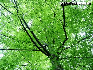 [P07]  -- <small>// FĂRĂ DESCRIERE</small> » foto by Testosu'
 - 
<span class="allrVoted glyphicon glyphicon-heart hidden" id="av617537"></span>
<a class="m-l-10 hidden" id="sv617537" onclick="voting_Foto_DelVot(,617537,14820)" role="button">șterge vot <span class="glyphicon glyphicon-remove"></span></a>
<a id="v9617537" class=" c-red"  onclick="voting_Foto_SetVot(617537)" role="button"><span class="glyphicon glyphicon-heart-empty"></span> <b>LIKE</b> = Votează poza</a> <img class="hidden"  id="f617537W9" src="/imagini/loader.gif" border="0" /><span class="AjErrMes hidden" id="e617537ErM"></span>