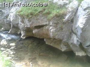 [P27]  -- <small>// FĂRĂ DESCRIERE</small> » foto by costy69*
 - 
<span class="allrVoted glyphicon glyphicon-heart hidden" id="av746326"></span>
<a class="m-l-10 hidden" id="sv746326" onclick="voting_Foto_DelVot(,746326,14820)" role="button">șterge vot <span class="glyphicon glyphicon-remove"></span></a>
<a id="v9746326" class=" c-red"  onclick="voting_Foto_SetVot(746326)" role="button"><span class="glyphicon glyphicon-heart-empty"></span> <b>LIKE</b> = Votează poza</a> <img class="hidden"  id="f746326W9" src="/imagini/loader.gif" border="0" /><span class="AjErrMes hidden" id="e746326ErM"></span>