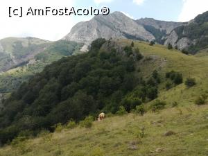 [P20] In Poiana Corbului. In planul secund se vede V&acirc;rful Arjana » foto by Mika
 - 
<span class="allrVoted glyphicon glyphicon-heart hidden" id="av1175272"></span>
<a class="m-l-10 hidden" id="sv1175272" onclick="voting_Foto_DelVot(,1175272,14820)" role="button">șterge vot <span class="glyphicon glyphicon-remove"></span></a>
<a id="v91175272" class=" c-red"  onclick="voting_Foto_SetVot(1175272)" role="button"><span class="glyphicon glyphicon-heart-empty"></span> <b>LIKE</b> = Votează poza</a> <img class="hidden"  id="f1175272W9" src="/imagini/loader.gif" border="0" /><span class="AjErrMes hidden" id="e1175272ErM"></span>