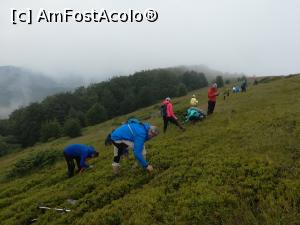 [P33] La m&acirc;ncat de afine » foto by Mika
 - 
<span class="allrVoted glyphicon glyphicon-heart hidden" id="av1175285"></span>
<a class="m-l-10 hidden" id="sv1175285" onclick="voting_Foto_DelVot(,1175285,14820)" role="button">șterge vot <span class="glyphicon glyphicon-remove"></span></a>
<a id="v91175285" class=" c-red"  onclick="voting_Foto_SetVot(1175285)" role="button"><span class="glyphicon glyphicon-heart-empty"></span> <b>LIKE</b> = Votează poza</a> <img class="hidden"  id="f1175285W9" src="/imagini/loader.gif" border="0" /><span class="AjErrMes hidden" id="e1175285ErM"></span>