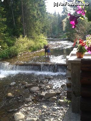 [P04]  -- <small>// FĂRĂ DESCRIERE</small> » foto by bntnmarian
 - 
<span class="allrVoted glyphicon glyphicon-heart hidden" id="av446887"></span>
<a class="m-l-10 hidden" id="sv446887" onclick="voting_Foto_DelVot(,446887,14823)" role="button">șterge vot <span class="glyphicon glyphicon-remove"></span></a>
<a id="v9446887" class=" c-red"  onclick="voting_Foto_SetVot(446887)" role="button"><span class="glyphicon glyphicon-heart-empty"></span> <b>LIKE</b> = Votează poza</a> <img class="hidden"  id="f446887W9" src="/imagini/loader.gif" border="0" /><span class="AjErrMes hidden" id="e446887ErM"></span>