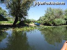 [P17]  -- <small>// FĂRĂ DESCRIERE</small> » foto by c-kosty
 - 
<span class="allrVoted glyphicon glyphicon-heart hidden" id="av450394"></span>
<a class="m-l-10 hidden" id="sv450394" onclick="voting_Foto_DelVot(,450394,14923)" role="button">șterge vot <span class="glyphicon glyphicon-remove"></span></a>
<a id="v9450394" class=" c-red"  onclick="voting_Foto_SetVot(450394)" role="button"><span class="glyphicon glyphicon-heart-empty"></span> <b>LIKE</b> = Votează poza</a> <img class="hidden"  id="f450394W9" src="/imagini/loader.gif" border="0" /><span class="AjErrMes hidden" id="e450394ErM"></span>