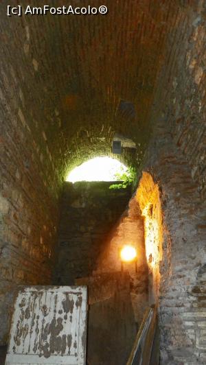 [P15]  -- <small>// FĂRĂ DESCRIERE</small> » foto by ireedeejay
 - 
<span class="allrVoted glyphicon glyphicon-heart hidden" id="av1055816"></span>
<a class="m-l-10 hidden" id="sv1055816" onclick="voting_Foto_DelVot(,1055816,14995)" role="button">șterge vot <span class="glyphicon glyphicon-remove"></span></a>
<a id="v91055816" class=" c-red"  onclick="voting_Foto_SetVot(1055816)" role="button"><span class="glyphicon glyphicon-heart-empty"></span> <b>LIKE</b> = Votează poza</a> <img class="hidden"  id="f1055816W9" src="/imagini/loader.gif" border="0" /><span class="AjErrMes hidden" id="e1055816ErM"></span>