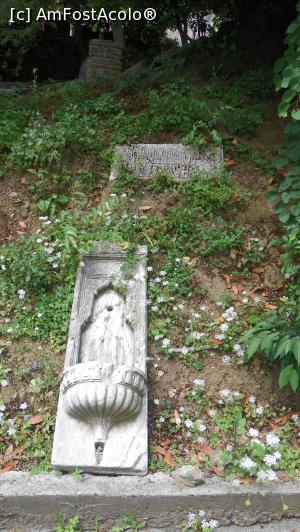 [P13]  -- <small>// FĂRĂ DESCRIERE</small> » foto by ireedeejay
 - 
<span class="allrVoted glyphicon glyphicon-heart hidden" id="av1055870"></span>
<a class="m-l-10 hidden" id="sv1055870" onclick="voting_Foto_DelVot(,1055870,14995)" role="button">șterge vot <span class="glyphicon glyphicon-remove"></span></a>
<a id="v91055870" class=" c-red"  onclick="voting_Foto_SetVot(1055870)" role="button"><span class="glyphicon glyphicon-heart-empty"></span> <b>LIKE</b> = Votează poza</a> <img class="hidden"  id="f1055870W9" src="/imagini/loader.gif" border="0" /><span class="AjErrMes hidden" id="e1055870ErM"></span>