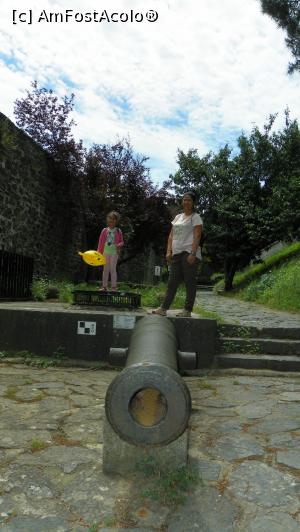 [P19]  -- <small>// FĂRĂ DESCRIERE</small> » foto by ireedeejay
 - 
<span class="allrVoted glyphicon glyphicon-heart hidden" id="av1055876"></span>
<a class="m-l-10 hidden" id="sv1055876" onclick="voting_Foto_DelVot(,1055876,14995)" role="button">șterge vot <span class="glyphicon glyphicon-remove"></span></a>
<a id="v91055876" class=" c-red"  onclick="voting_Foto_SetVot(1055876)" role="button"><span class="glyphicon glyphicon-heart-empty"></span> <b>LIKE</b> = Votează poza</a> <img class="hidden"  id="f1055876W9" src="/imagini/loader.gif" border="0" /><span class="AjErrMes hidden" id="e1055876ErM"></span>