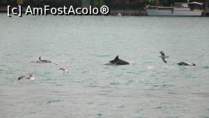 [P02]  -- <small>// FĂRĂ DESCRIERE</small> » foto by ireedeejay
 - 
<span class="allrVoted glyphicon glyphicon-heart hidden" id="av1055859"></span>
<a class="m-l-10 hidden" id="sv1055859" onclick="voting_Foto_DelVot(,1055859,14995)" role="button">șterge vot <span class="glyphicon glyphicon-remove"></span></a>
<a id="v91055859" class=" c-red"  onclick="voting_Foto_SetVot(1055859)" role="button"><span class="glyphicon glyphicon-heart-empty"></span> <b>LIKE</b> = Votează poza</a> <img class="hidden"  id="f1055859W9" src="/imagini/loader.gif" border="0" /><span class="AjErrMes hidden" id="e1055859ErM"></span>