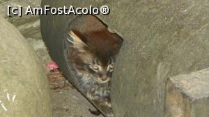 [P21]  -- <small>// FĂRĂ DESCRIERE</small> » foto by ireedeejay
 - 
<span class="allrVoted glyphicon glyphicon-heart hidden" id="av1055878"></span>
<a class="m-l-10 hidden" id="sv1055878" onclick="voting_Foto_DelVot(,1055878,14995)" role="button">șterge vot <span class="glyphicon glyphicon-remove"></span></a>
<a id="v91055878" class=" c-red"  onclick="voting_Foto_SetVot(1055878)" role="button"><span class="glyphicon glyphicon-heart-empty"></span> <b>LIKE</b> = Votează poza</a> <img class="hidden"  id="f1055878W9" src="/imagini/loader.gif" border="0" /><span class="AjErrMes hidden" id="e1055878ErM"></span>