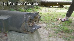 [P22]  -- <small>// FĂRĂ DESCRIERE</small> » foto by ireedeejay
 - 
<span class="allrVoted glyphicon glyphicon-heart hidden" id="av1055879"></span>
<a class="m-l-10 hidden" id="sv1055879" onclick="voting_Foto_DelVot(,1055879,14995)" role="button">șterge vot <span class="glyphicon glyphicon-remove"></span></a>
<a id="v91055879" class=" c-red"  onclick="voting_Foto_SetVot(1055879)" role="button"><span class="glyphicon glyphicon-heart-empty"></span> <b>LIKE</b> = Votează poza</a> <img class="hidden"  id="f1055879W9" src="/imagini/loader.gif" border="0" /><span class="AjErrMes hidden" id="e1055879ErM"></span>