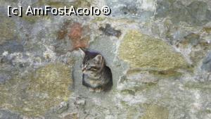 [P23]  -- <small>// FĂRĂ DESCRIERE</small> » foto by ireedeejay
 - 
<span class="allrVoted glyphicon glyphicon-heart hidden" id="av1055880"></span>
<a class="m-l-10 hidden" id="sv1055880" onclick="voting_Foto_DelVot(,1055880,14995)" role="button">șterge vot <span class="glyphicon glyphicon-remove"></span></a>
<a id="v91055880" class=" c-red"  onclick="voting_Foto_SetVot(1055880)" role="button"><span class="glyphicon glyphicon-heart-empty"></span> <b>LIKE</b> = Votează poza</a> <img class="hidden"  id="f1055880W9" src="/imagini/loader.gif" border="0" /><span class="AjErrMes hidden" id="e1055880ErM"></span>