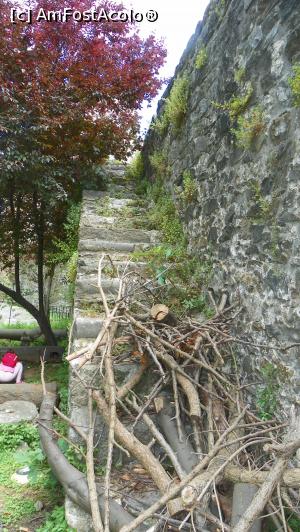 [P25]  -- <small>// FĂRĂ DESCRIERE</small> » foto by ireedeejay
 - 
<span class="allrVoted glyphicon glyphicon-heart hidden" id="av1055882"></span>
<a class="m-l-10 hidden" id="sv1055882" onclick="voting_Foto_DelVot(,1055882,14995)" role="button">șterge vot <span class="glyphicon glyphicon-remove"></span></a>
<a id="v91055882" class=" c-red"  onclick="voting_Foto_SetVot(1055882)" role="button"><span class="glyphicon glyphicon-heart-empty"></span> <b>LIKE</b> = Votează poza</a> <img class="hidden"  id="f1055882W9" src="/imagini/loader.gif" border="0" /><span class="AjErrMes hidden" id="e1055882ErM"></span>