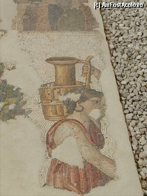 [P25] Ulciorul nu merge de multe ori la apa. Muzeul de Mozaicuri al Marelui Palat al lui Constantin cel Mare.  » foto by TraianS
 - 
<span class="allrVoted glyphicon glyphicon-heart hidden" id="av389425"></span>
<a class="m-l-10 hidden" id="sv389425" onclick="voting_Foto_DelVot(,389425,14995)" role="button">șterge vot <span class="glyphicon glyphicon-remove"></span></a>
<a id="v9389425" class=" c-red"  onclick="voting_Foto_SetVot(389425)" role="button"><span class="glyphicon glyphicon-heart-empty"></span> <b>LIKE</b> = Votează poza</a> <img class="hidden"  id="f389425W9" src="/imagini/loader.gif" border="0" /><span class="AjErrMes hidden" id="e389425ErM"></span>